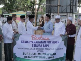 Sapi Kurban Presiden Tiba, Belitung Perketat Pengawasan Kesehatan