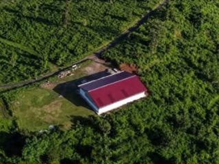 Koperasi Merah Putih Viral di Lereng Gunung Prau