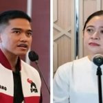 Kaesang Siap Maju DPR RI dari Dapil Jateng V