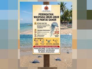 Warga Denpasar Diminta Waspada Ubur-Ubur Blue Bottle di Pantai